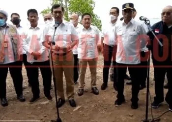 LBP: Pemerintah Segera Membangun Green Smart Seaport di Batam