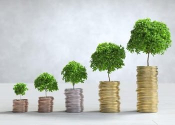 Cara Aman Membuat Uang Berkembang: Investasikan Pendapatan Anda