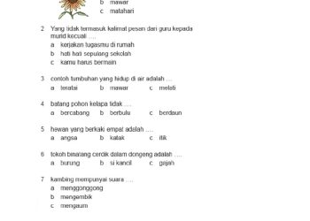Latihan Soal Bahasa Indonesia Kelas 2 SD Semester 2 + Kunci Jawaban