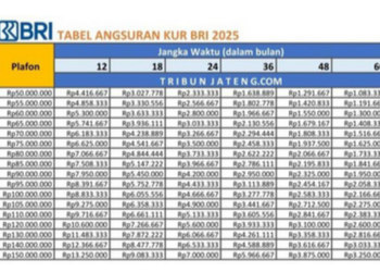 Tabel KUR BRI 2025: Cicilan Rp 1 Jutaan untuk Pinjaman 100 Juta