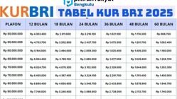 KUR BRI 2025: Simulasi 50 Juta, Bunga Ringan, Angsuran Terjangkau!