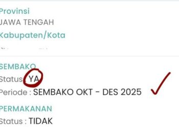 Cek Bansos Rp600 Ribu 2025: Link Resmi & Cara Daftar