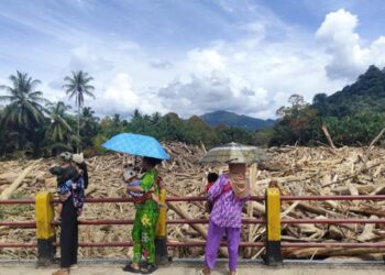 4 Perusak Hutan Tapanuli Jadi Tersangka, 2 Pengusaha Tapsel Terlibat