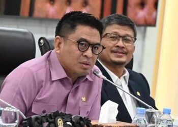 Dugaan Sindiran Donasi Banjir: Harta Anggota DPR RI Disorot