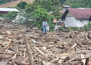 BNPB Jamin Penggantian Rumah Warga Terdampak Bencana Aceh-Sumut-Sumbar, Ini Rinciannya!