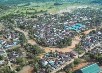 Ratusan Jiwa Tewas Akibat Banjir Sumatera, WALHI Kritik Aktivitas PT Toba Pulp Lestari