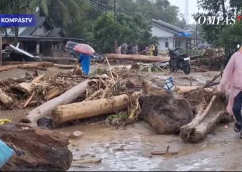 Greenpeace-Walhi: Banjir Sumatra Bukan Hanya Cuaca, Tapi Kegagalan Pengelolaan SDA