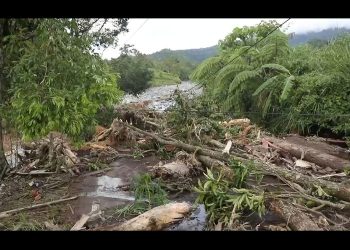 Cek Fakta! Apakah Toba Pulp Lestari Sebabkan Bencana Ekstrem di Sumatera?