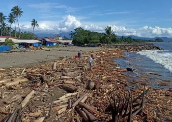 Toba Pulp Lestari Negatif Jadi Penyebab Banjir Bandang Sumatera, Ini Penjelasannya!