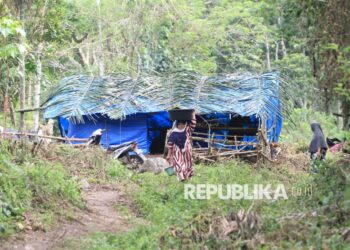 Alasan Gubernur Aceh Larang Kayu Hanyut Keluar Aceh
