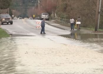 Skagit County Floods: What You Need to Know