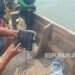 Berkah Alat Mercubuana: Hasil Tangkapan Nelayan Pantai Bahagia Meningkat