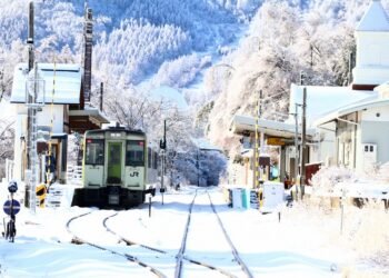 Young Photographer Rallies to Save Yamanashi Train Line