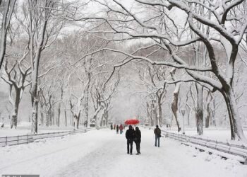 NYC Snow Alert: 3-Inch Storm Threatens East Coast