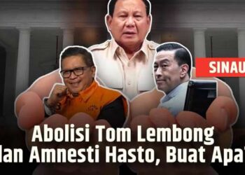 Alasan Johan Budi Tolak Amnesti Hasto dari Prabowo