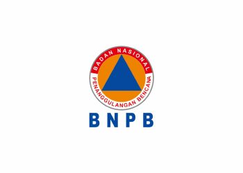 BNPB Buka Isolasi! Pesawat dan Helikopter Kirim Starlink hingga Popok ke Aceh