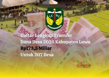 Luwu: Rp971 Miliar Dana Transfer Daerah 2025, DAU Terbesar!