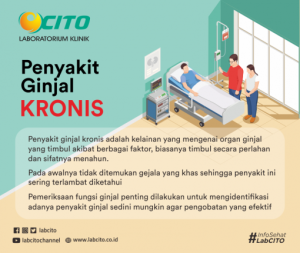 GINJAL-penyakit-ginjal-kronis-800x675-510x430.png