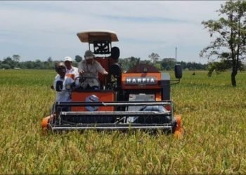 Instruksi Gubernur Bali: Larangan Alih Fungsi Lahan Pertanian untuk Jaga Keseimbangan Alam