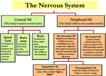 PNS nowadays can’t just be ordinary; this is the digital work ethic that must be inherent!