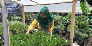 GMNI Malaka & Warga Hijaukan DAS Motaain