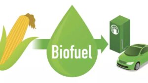 05-Global-Biofuel-Alliance_India_-energy-transition.jpg