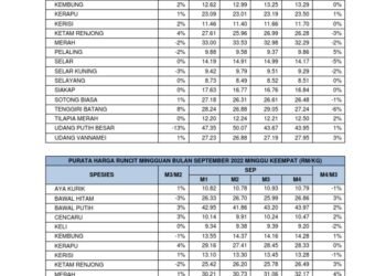 Awal tahun 2026, harga ikan di pasar Bula mahal, 4 ekor Rp. 50 ribu