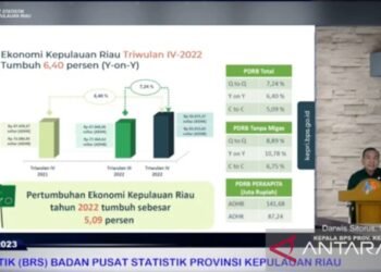Kilas balik perekonomian Kepri tahun 2025, tumbuh 7,45 persen dan inflasi 2,5 persen