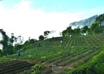 Pesona Pemo: Wisata Desa Pertanian di Kelimutu