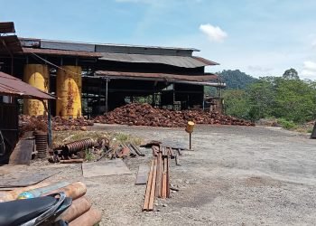 Harga Sawit Nagan Terjun Bebas