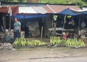 Perburuan Jagung H-2 Tahun Baru Tarakan: Rp 20 Ribuan