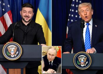 Zelensky on Trump’s Putin ‘Success’ Remark