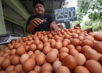 Harga Pangan Kamis (1/1): Kenaikan Beras, Minyak, Telur Pasca-Tahun Baru
