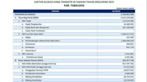 Daftar-Dana-Transfer-ke-Daerah-2025-Kabupaten-Tabalong-Provinsi-Kalimantan-Selatan.jpg