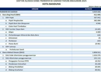Kota Palu digelontor dana transfer ke daerah 2025 Rp 1 triliun, DAU terbesar