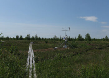 APRIL: A Decade of Peatland Science Leadership