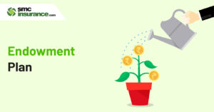 endowment-plan.jpg