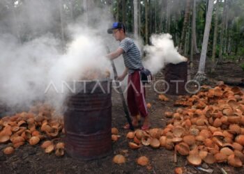 Tertipu Rp 215 Juta: 22 Ton Arang Kelapa Hilang Tak Terkirim