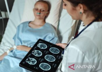 Melanoma menonaktifkan sel imun dengan cara baru