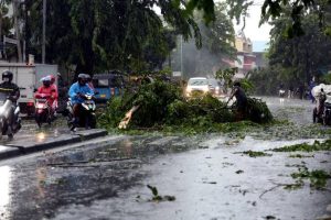prakiraan-cuaca-di-lampung-hari-ini-foto-dok-jpnncom-ricardo-gpyq.jpg