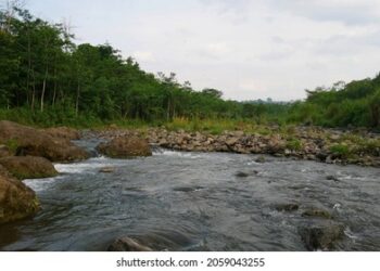 Sungai Guci Tegal Meluap, Viral!