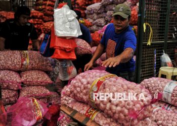 Bawang Putih: Impor Dirangkul, Harga Dijaga