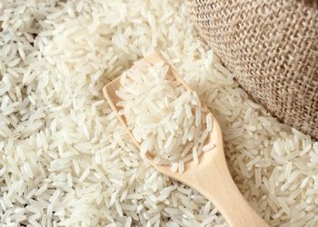 RI Impor Apel & Beras AS: Gebrakan Tarif 19 Persen