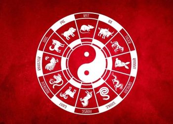 Ramalan Shio Besok 11 Februari 2026: Tikus, Kerbau, Macan, Kelinci