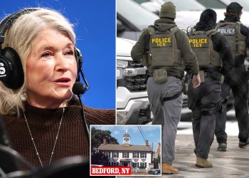 ICE Raid: Martha Stewart’s “Depressing” NYC Suburb Visit