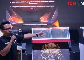 Duel Cupang: Laga Ikan Mas Koki Pecah di Bogor