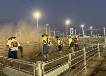 Heatwave Heroes: Farmers’ Survival Secrets for Livestock and Produce