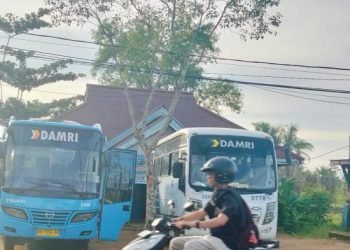 Jadwal Damri Ramadan 2026: Tana Tidung – Tanjung Selor & Malinau