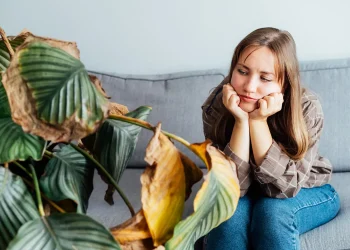 Malaysia’s Plant Whisperer: Conquer Your Black Thumb