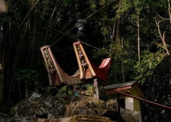 Sintya Marisca di Toraja: Pesona Alam yang Memukau